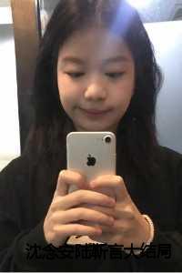 沈念安陆林稹目录