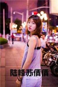陆峰苏倩倩最新更新