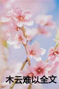 作者木云