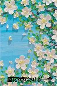 篮花欢欢冰山长宁