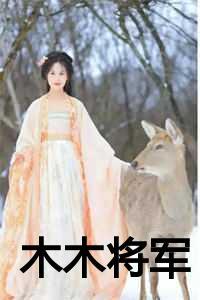 叶木木将军