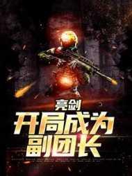 亮剑之开局一个团无弹窗