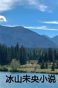 冰山未婚夫