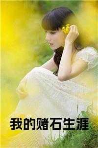 我的赌石生涯在线播放