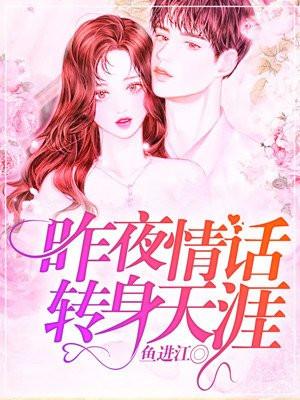 昨夜情话转身天涯无删减版