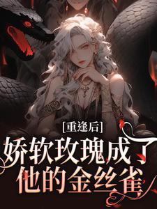 苏沅沅免费章节