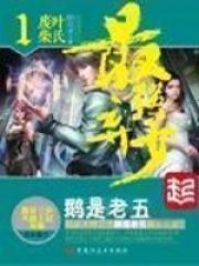 最强弃少等级划分