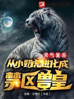 灵气复苏时代的虎百度百科