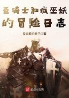 圣骑士打巫妖王平民卡组