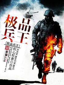 极品兵王苏灿阅读全文