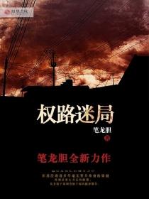 官路迷局免费阅读