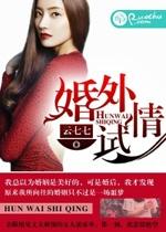 婚外试情 云七七