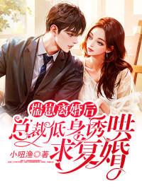 总裁低身诱哄求复婚 小吜渔