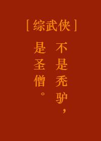 综武侠圣僧无防盗