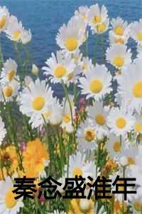 秦念盛淮年第30章