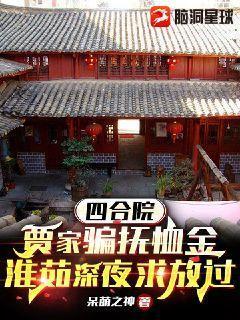 四合院重生贾家