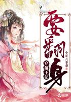 穿越王妃要升级