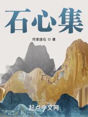 石心集团是干什么的