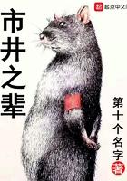 市井之辈免费阅读全文