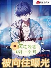 桃花源邀请码是多少