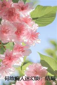 何故痴人迷幻影后续
