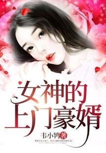 女神的上门豪婿免费收听