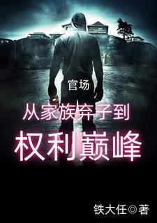 官场从家族弃子到权利巅峰 书旗