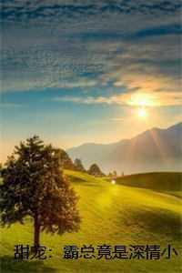 甜宠霸总竟是深情小狼狗