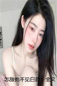 怎敌他的他是什么意思