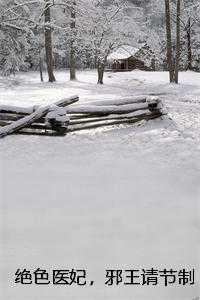邪王请节制全文免费阅读