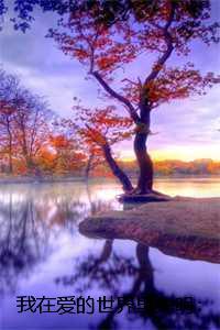 我的爱在你的世界里