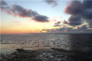 挂一条满身符文的鬼鱼!