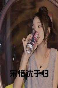 沈岸宋凝宋萋萋