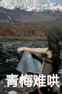 青梅难哄txt笔趣阁