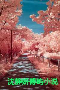 沈静妍傅屿全本免费阅读