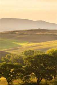 我的男性朋友用英语怎么说