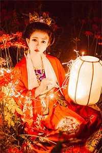 凤凰之羽 怎么获得