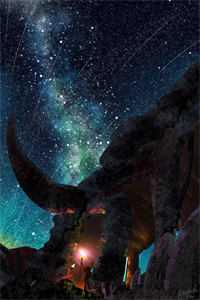 战队系列女队员