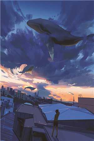 时光邮差的故事