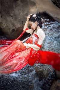 成仙的生肖有哪几肖