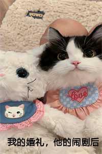 我的婚礼免费阅读