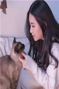 出狱被抛弃换来女总裁的青睐免费阅读