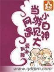 当大神遇到大神全文免费阅读