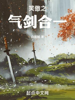 笑傲之气剑合一讲什么