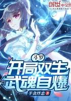 斗罗开局双生武魂自爆作者半贪绊恋