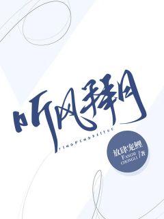 二嫁豪门总裁前夫别碰我全文