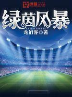 绿茵风暴txt免费全本