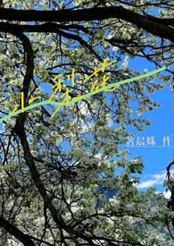 小梨花短剧免费播放