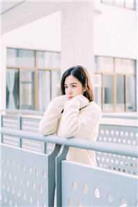 表姨是什么意思啊