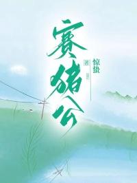 赛猪公是什么时候